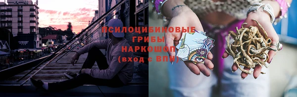 гидра Арсеньев