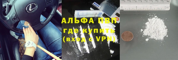 гидра Арсеньев