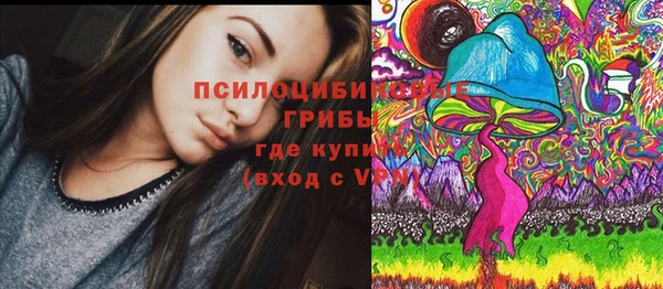 прущая мука Армянск