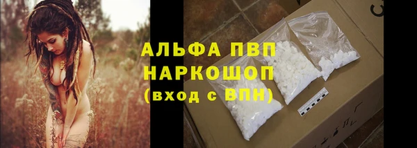 гидра Арсеньев