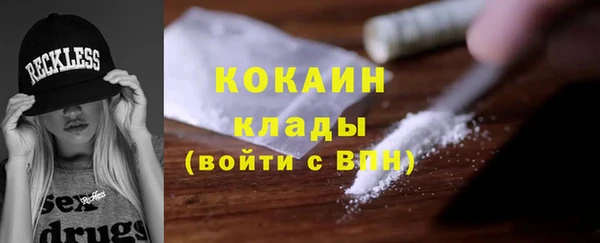 гидра Арсеньев