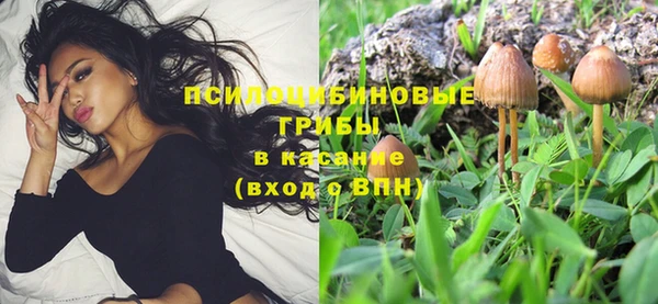 а пвп мука Аркадак