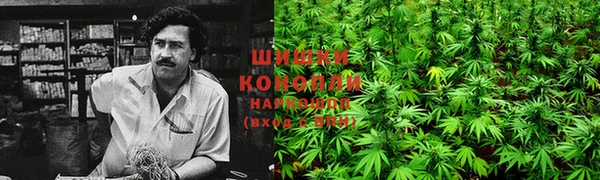 гидра Арсеньев