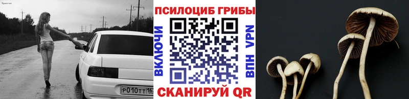 дарк нет наркотические препараты  Балашиха  Псилоцибиновые грибы Magic Shrooms  закладка 